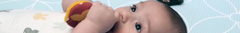 Banner de la categoría Nacimiento