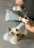cama COLCHON para mascotas - AZZULARQ