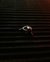 Imagem do Mini Argola + Prego Torcido"