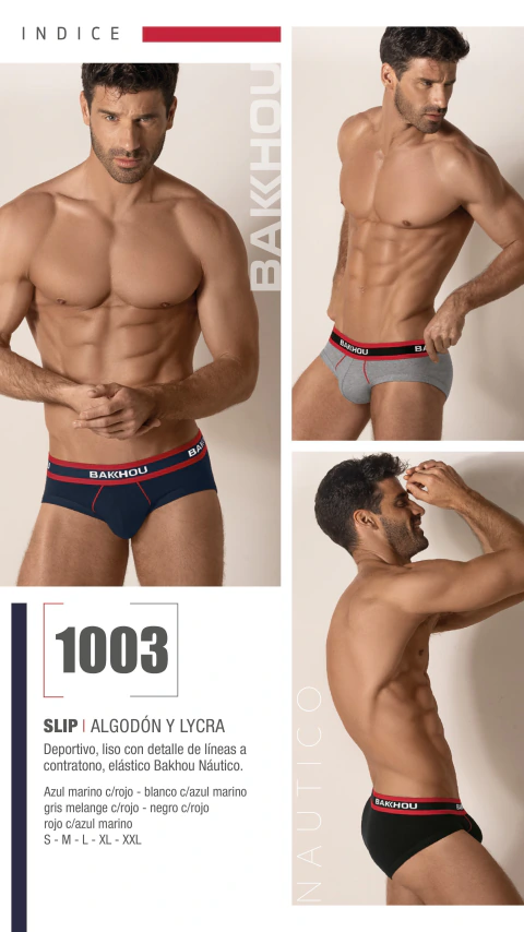 Bak1003