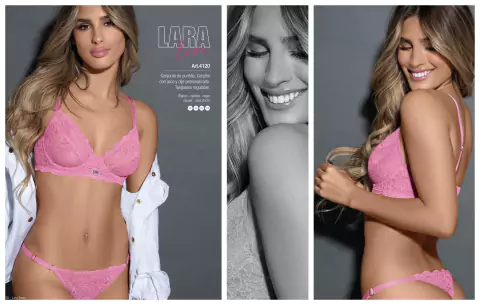 Lar4120 en internet