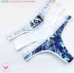 Vin4018 - comprar online