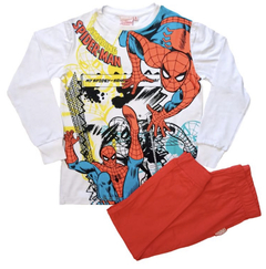 Araña80925