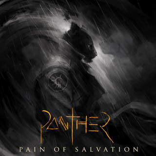CD PAIN OF SALVATION - PANTHER (slipcase edition)