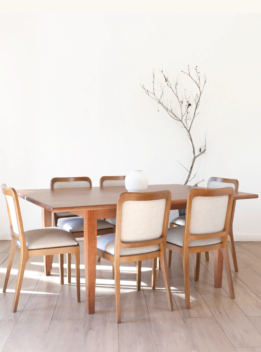 MAXIMO MACIZA COMEDOR