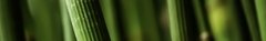 Banner da categoria Mujer