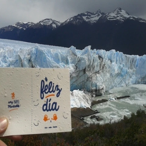 Postales en papel plantable - 30 u.