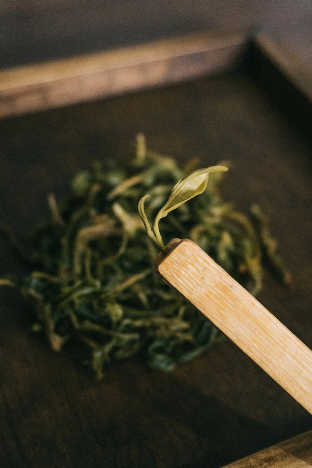 Té verde de brote y 2 hojas