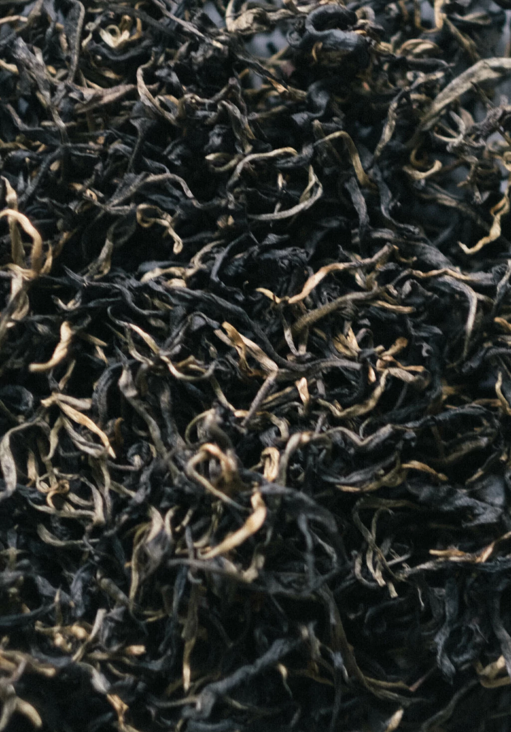 Té negro de brote y 1ra hoja