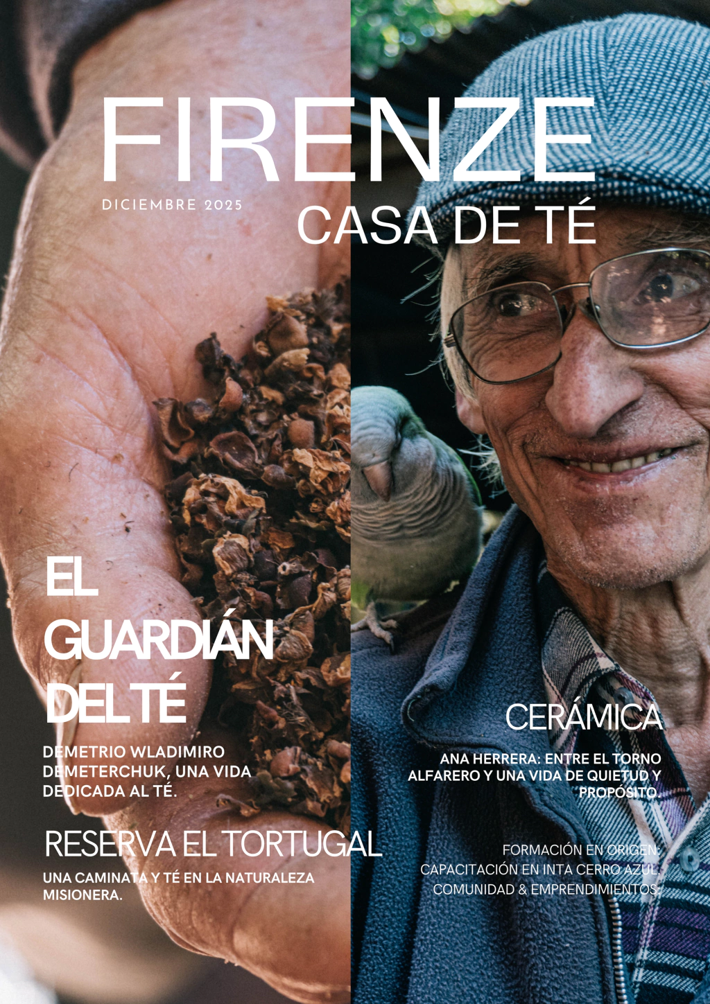 Preventa — Edición Diciembre 2025