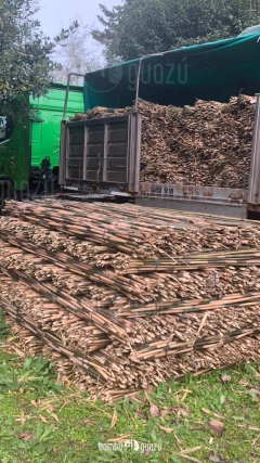 Cañas japónicas segunda 12 a 20 mm x 2 metros paquete 50 unidades - comprar online