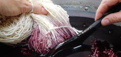 Banner de la categoría MERINO 19 mc TINTES NATURALES
