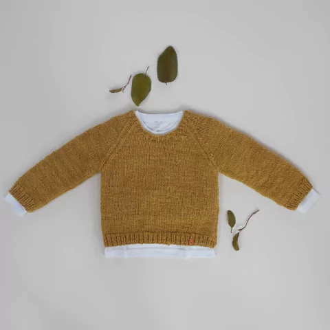 sweater Básico manga larga