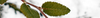 Banner EntramadoSur. Naturaleza Hecha Abrigo