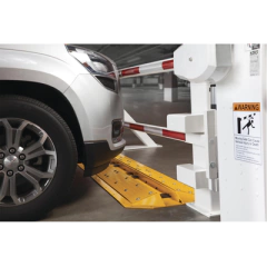 DKS DOORKING Accesorio Lane Barrier para barreras DKS / 4.26 Metros 1620-085 - buy online