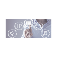 EGI AUDIO SOLUTIONS Millennum IP Soft lite Software de Gestion 1810
