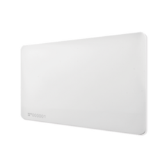 NEDAP tarjeta Gen 2 UHF ISO Combi UHF-HF (13.56 MHz Mifare)* MOD: 9942343V2