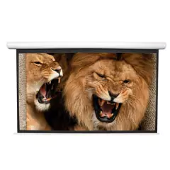 ART-EPI067120V1 ARTLIGHT - Pantalla eléctrica premium 137" 16:9 - 67" x 120" Artlight - buy online