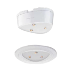 HONEYWELL Sensor de Movimiento de 360° Doble Tecnología, se puede Instalar a una altura máxima de 8m MOD: DT8360CM