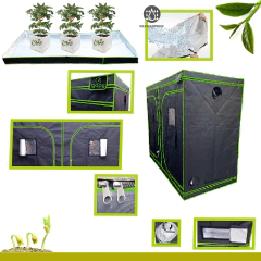GAPY Tienda Indoor Hidropónica Calidad Premium, Armario de Cultivo para Interior, Grow Tent 240*120*200 cms Mylar 600 D de Alta Densidad. Fácil de Instalar, máxima Calidad y Durabilidad - La Mejor Opcion by Creative Planet