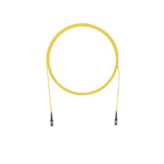 PANDUIT Cable de Interconexión de 12 Fibras Ópticas Monomodo OS2, de PanMPO Hembra a PanMPO Hembra, Polaridad A, LSZH, de 1.5 Metros MOD: FR9TL77A001M1.5