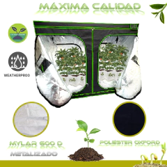 GAPY Tienda Indoor Hidropónica Calidad Premium, Armario de Cultivo para Interior, Grow Tent 240*120*200 cms Mylar 600 D de Alta Densidad. Fácil de Instalar, máxima Calidad y Durabilidad en internet