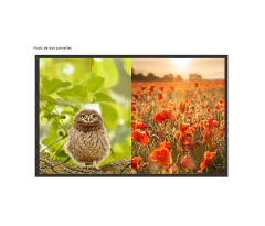 SAXXON LKV401MS- Switch de Video HDMI Multivista para 4 Entradas y 1 Salida/ Resolución 1080p@60Hz/ Múltiples Modos de Vista: Modo Dual y 3 Modos Cuádruples/ Muestra el Video de 4 Dispositivos en un Monitor en internet