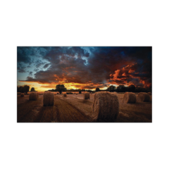 SAMSUNG ELECTRONICS Pantalla Profesional LED de 46" para Video Wall, Full HD (1080p), HDMI/DVI-D, Bisel Ultra Delgado de 2.25mm. Compatible VESA MOD: VM46BU