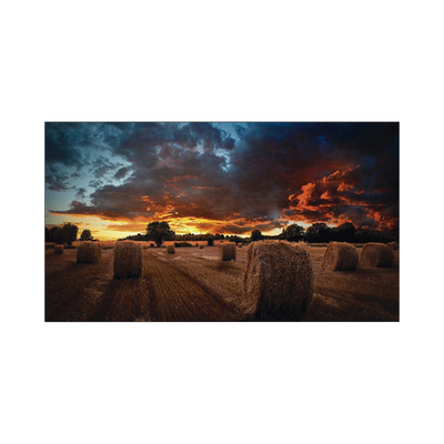 SAMSUNG ELECTRONICS Pantalla Profesional LED de 55" para Video Wall, Full HD (1080p), HDMI/DVI-D/DP, Bisel Ultra Delgado de 2.3mm. Compatible VESA MOD: VM55BU