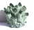 CUARZO VERDE TIBETANO - tienda online