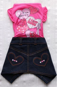 CONJUNTO MEZCLILLA PANTALÓN BLUSA en internet