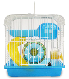 REDKITE AULA SAN FRANCISCO A PARA HAMSTER - comprar en línea
