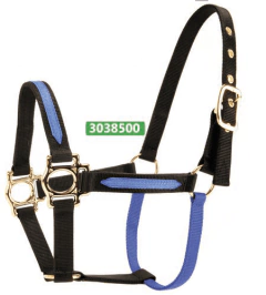 ALMORTIGONES - comprar en línea