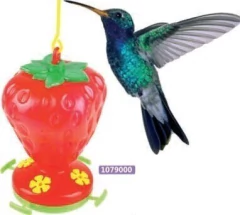 TONICOS Y ACCESORIOS PARA AVES - comprar en línea