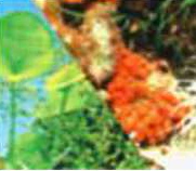 RESPALDO EN ROLLO - comprar en línea