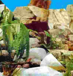 RESPALDO EN ROLLO en internet