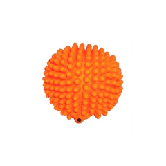 PETSTARZ Puercoespín en internet