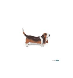 BASSET HOUND- PAPO