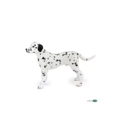 DALMATA - PAPO