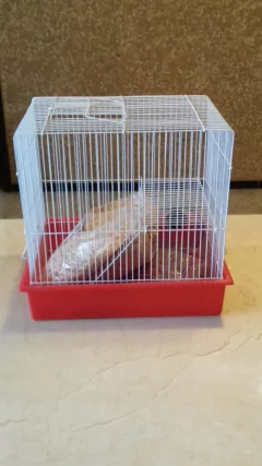 JAULA GRANDE PARA HAMSTER EQUIPADA- CAT - comprar en línea
