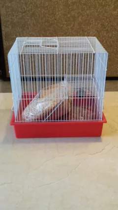JAULA GRANDE PARA HAMSTER EQUIPADA- CAT
