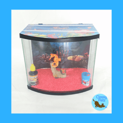 KIT PARA BETTAS PANORAMICO 20 CM.