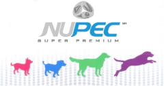 NUPEC ADULTO en internet