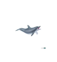 DELFIN JUGANDO - PAPO