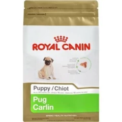 PUG PUPPY- Cachorros Pug de 2 meses a 10 meses de edad
