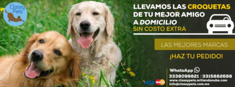 Carrusel CLASSY PETS