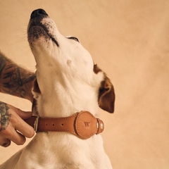 Correa Airtag para mascotas Walden