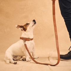 Correa Airtag para mascotas Walden - comprar online