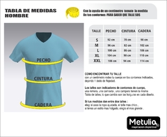 Remera Run Hombre - TRAILRUN - Fit - Espampa Bandurria Patagónica - METULIA