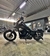 Dyna Street Bob FXDB 2016 na internet